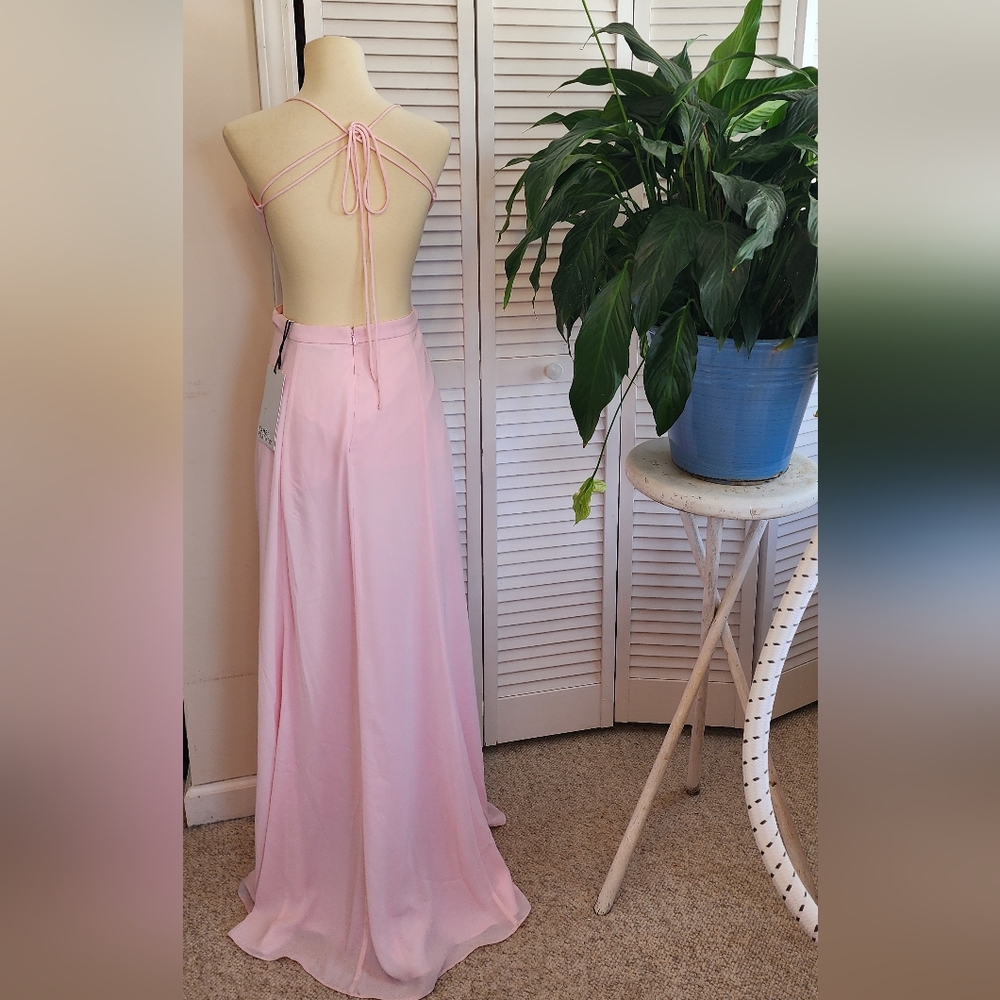 FAME AND PARTNERS! This Soft Pink Amazing Gown Is A Complete Showstopper!